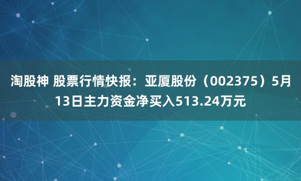 淘股神 股票行情快报:亚厦股份(002375)5月13日主力资金净买入513.24万元