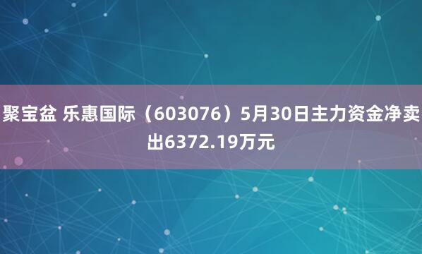 聚宝盆 乐惠国际(603076)5月30日主力资金净卖出6372.19万元