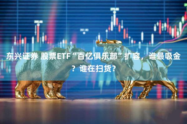 东兴证券 股票ETF“百亿俱乐部”扩容,谁最吸金?谁在扫货?