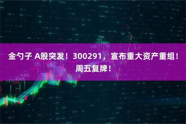 金勺子 A股突发！300291，宣布重大资产重组！周五复牌！