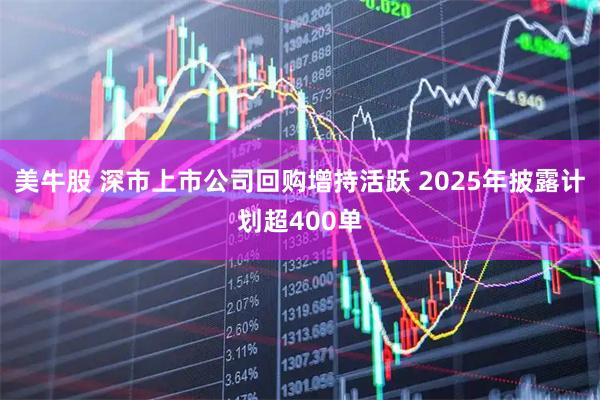 美牛股 深市上市公司回购增持活跃 2025年披露计划超400单